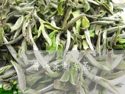 普洱茶都东莞/2023042784982