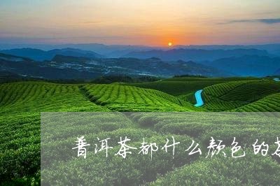 普洱茶都什么颜色的茶好/2023110736369