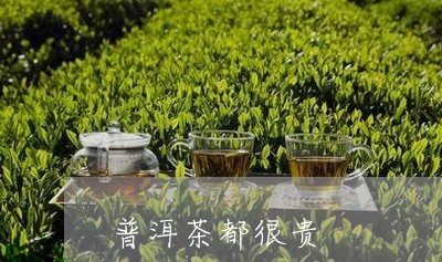 普洱茶都很贵/2023042877852