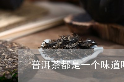 普洱茶都是一个味道吗/2023072322847