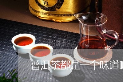 普洱茶都是一个味道嘛/2023101733807