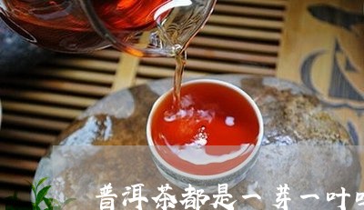 普洱茶都是一芽一叶吗/2023062802686