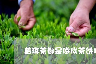 普洱茶都是做成茶饼吗/2023080393038