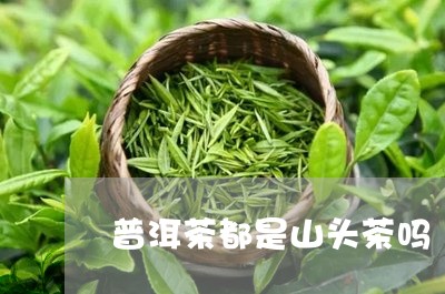 普洱茶都是山头茶吗/2023070923604