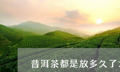 普洱茶都是放多久了才能喝/2023082553818