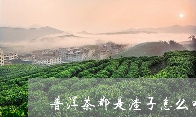 普洱茶都是渣子怎么喝/2023062466159