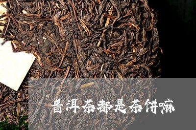 普洱茶都是茶饼嘛/2023120490480