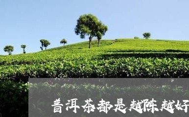 普洱茶都是越陈越好吗/2023093026160