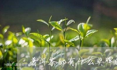 普洱茶都有什么奖牌的茶/2023121707078