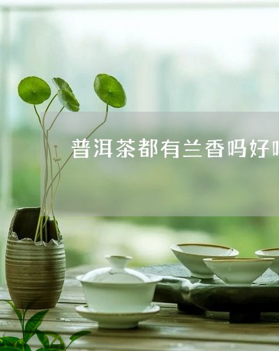 普洱茶都有兰香吗好吗/2023110750693