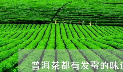 普洱茶都有发霉的味道/2023100617048