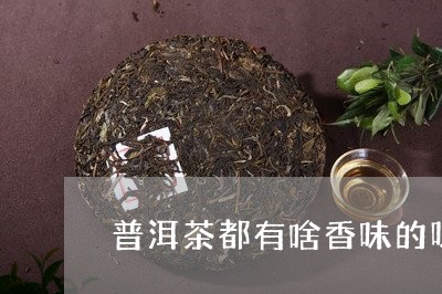 普洱茶都有啥香味的呀好喝/2023112537159