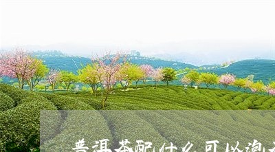 普洱茶配什么可以泡茶叶/2023121740592