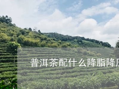 普洱茶配什么降脂降压/2023062402607