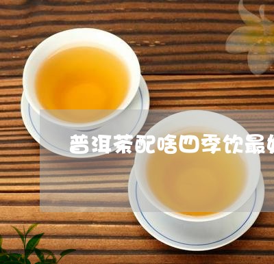 普洱茶配啥四季饮最好呢/2023110141412