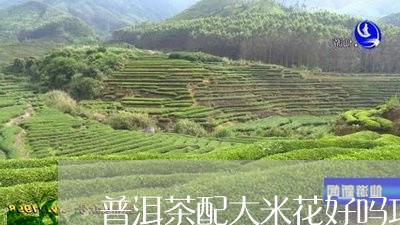 普洱茶配大米花好吗功效/2023121752816