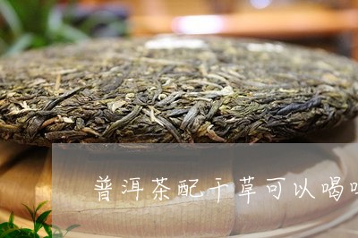 普洱茶配干草可以喝吗/2023120713946