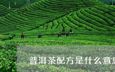 普洱茶配方是什么意思/2023062125370