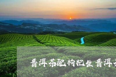 普洱茶配枸杞生普洱茶和枸杞的功效/2023060342948