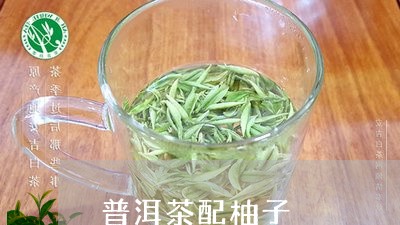 普洱茶配柚子/2023042762754