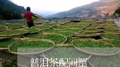 普洱茶配河蟹/2023042825767