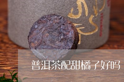 普洱茶配甜橘子好吗/2023120506161