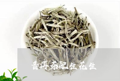 普洱茶配生花生/2023120330793