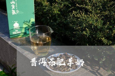 普洱茶配羊奶/2023042813073