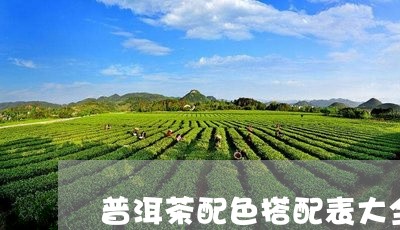 普洱茶配色搭配表大全图/2023083072615