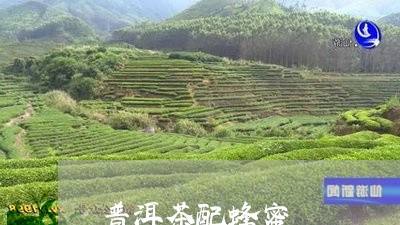 普洱茶配蜂蜜/2023042833327