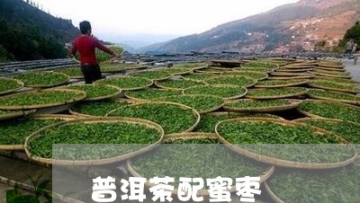 普洱茶配蜜枣/2023042706417