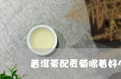 普洱茶配贡菊喝着好么/2023073170493