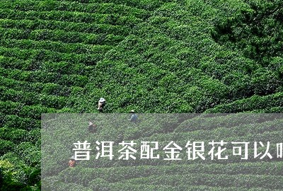 普洱茶配金银花可以吗/2023092614148