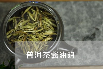 普洱茶酱油鸡/2023042621723