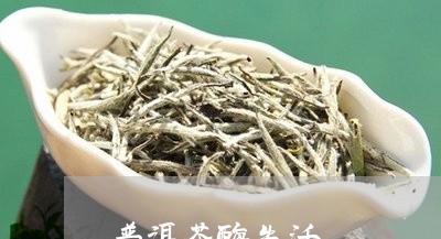 普洱茶酶失活/2023042974475