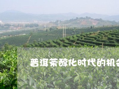 普洱茶醇化时代的机会/2023062323725