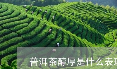 普洱茶醇厚是什么表现形成的/2023052820925