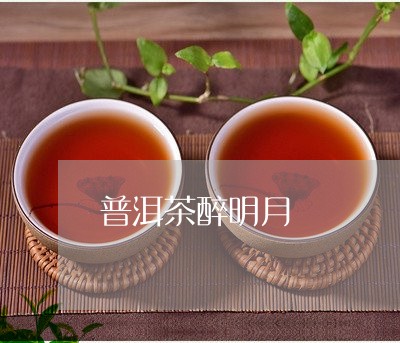 普洱茶醉明月/2023091250693