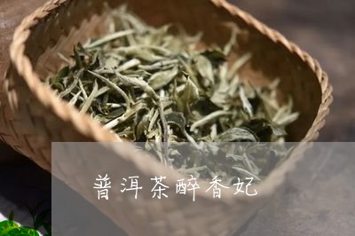 普洱茶醉香妃/2023042807911