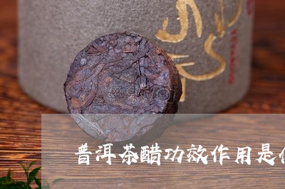 普洱茶醋功效作用是什么/2023110742935