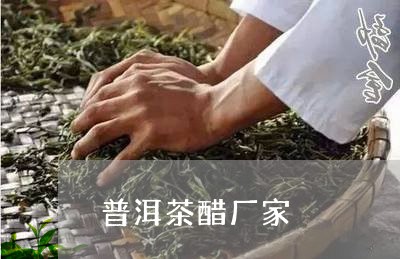 普洱茶醋厂家/2023042794155