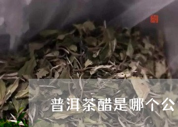 普洱茶醋是哪个公司的/2023120625840