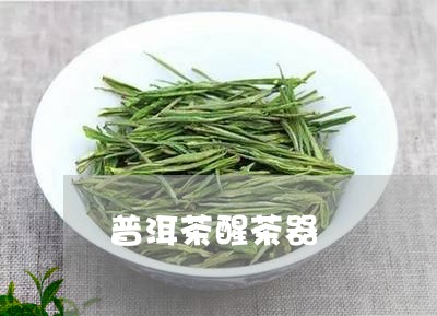 普洱茶醒茶器/2023042767414