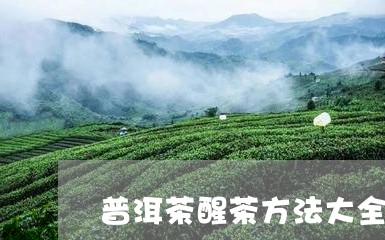 普洱茶醒茶方法大全/2023091497046