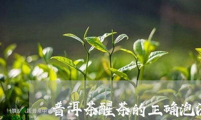 普洱茶醒茶的正确泡法/2023062490704