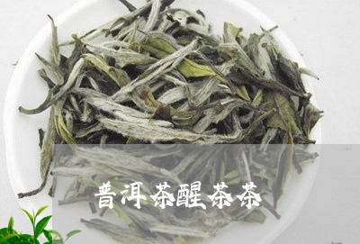 普洱茶醒茶茶/2023042701539