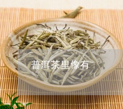 普洱茶里像有/2023042534705