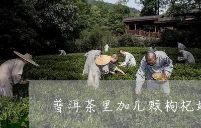 普洱茶里加几颗枸杞好/2023062952915