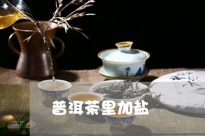 普洱茶里加盐/2023042613400