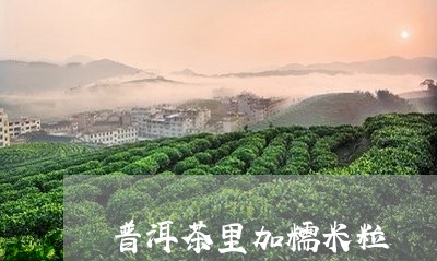 普洱茶里加糯米粒/2023120469604